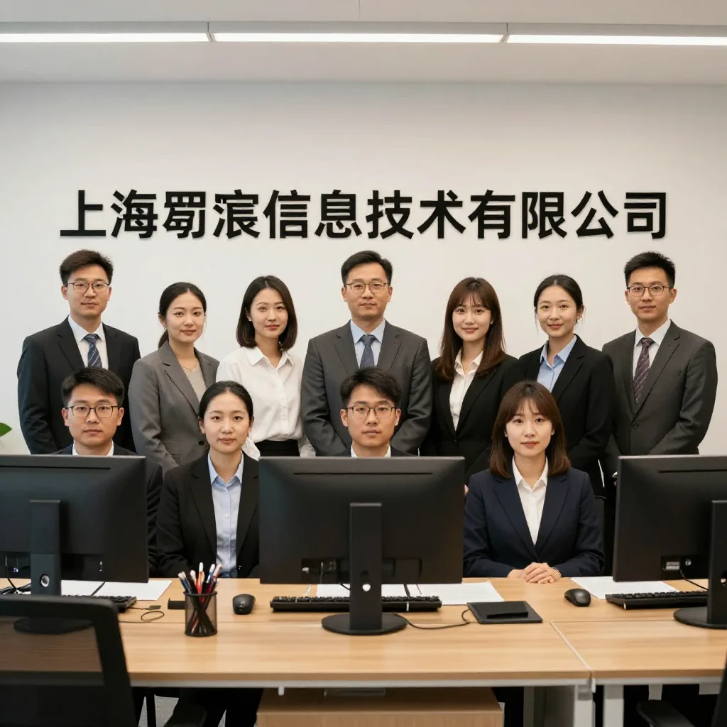 上海嗣宸信息技术有限公司 关于我们配图